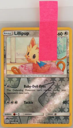 Lillipup #174