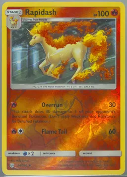 Rapidash #24