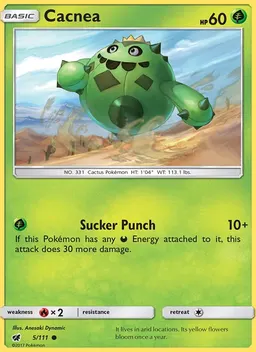 Cacnea #5