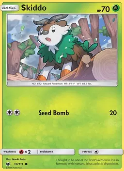 Skiddo #10