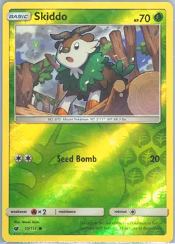 Skiddo #10