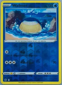 Wailmer #31