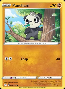 Pancham #72