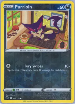 Purrloin #77