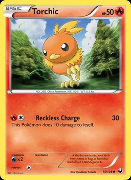 Torchic #14