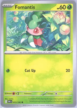 Fomantis #13