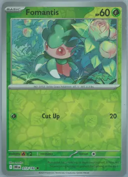 Fomantis #13