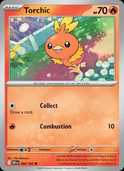 Torchic #40