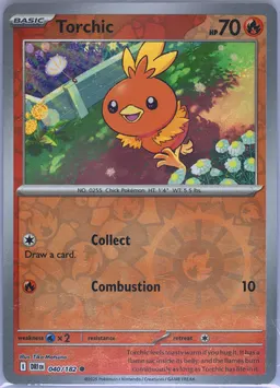 Torchic #40