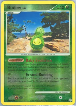 Budew #43