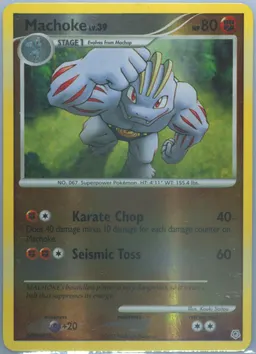 Machoke #53