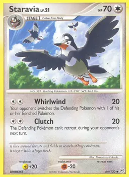Staravia #64