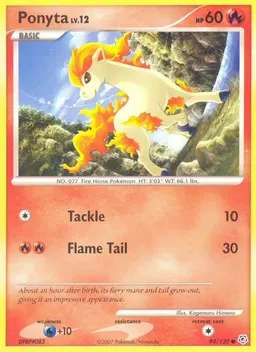 Ponyta card photo