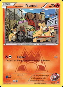 Team Magma's Numel #1