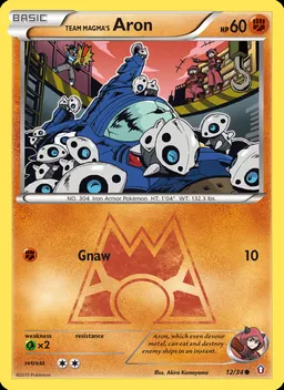 Team Magma's Aron #12