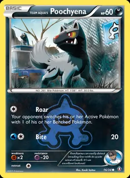 Team Aqua's Poochyena #16