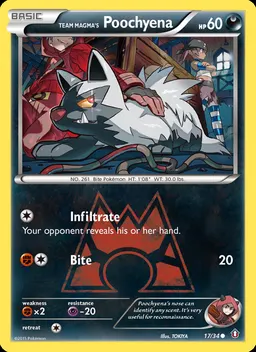 Team Magma's Poochyena #17