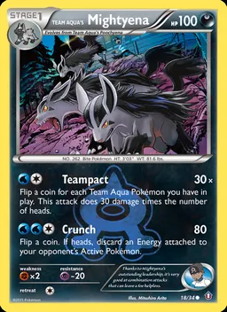 Team Aqua's Mightyena card photo