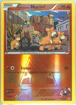 Team Magma's Numel #1