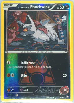 Team Magma's Poochyena #17