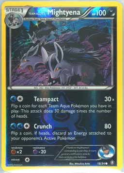 Team Aqua's Mightyena #18
