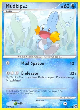 Mudkip card photo