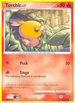 Torchic #89