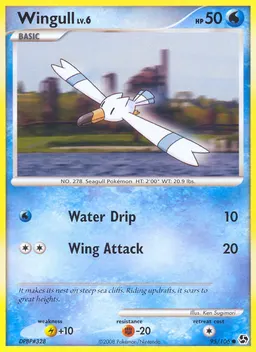 Wingull card photo