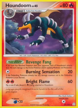 Houndoom #57