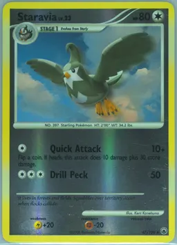 Staravia #47