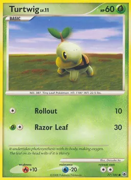 Turtwig #77