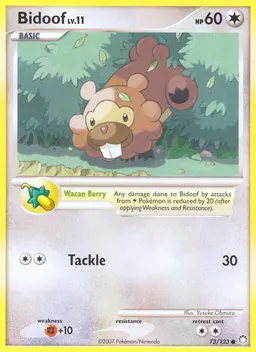 Bidoof card photo