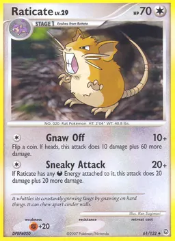 Raticate #61