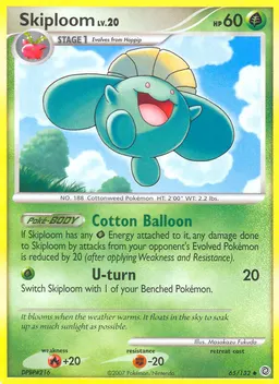 Skiploom #65