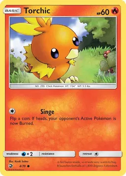 Torchic #4