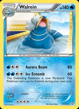 Walrein #31
