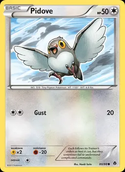 Pidove #80
