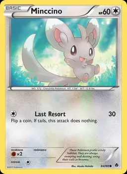 Minccino #84