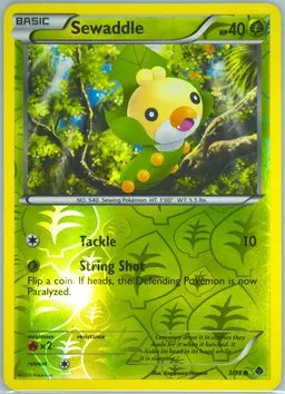 Sewaddle #3