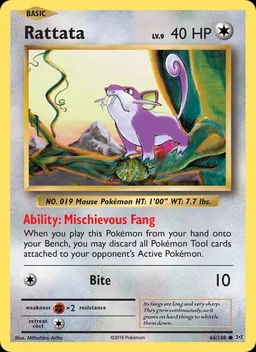 Rattata #66