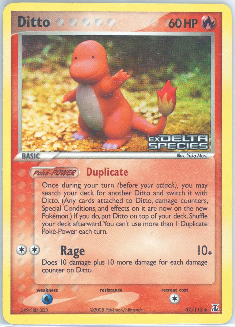 Ditto card photo