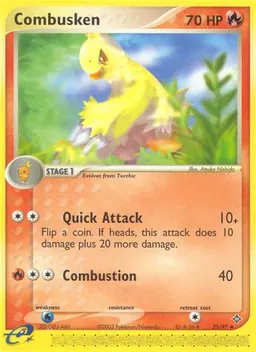 Combusken #25