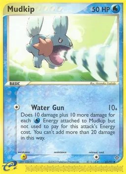 Mudkip card photo
