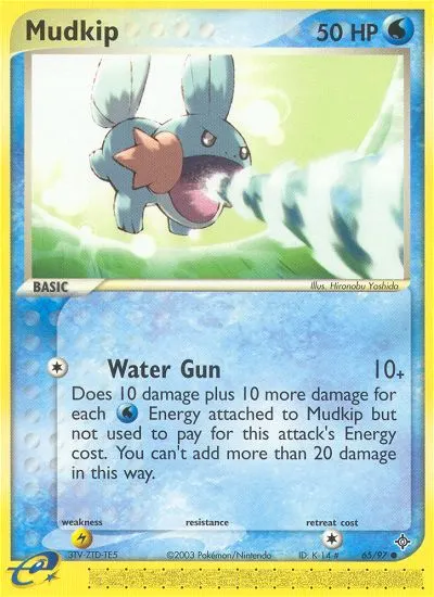 Mudkip card photo