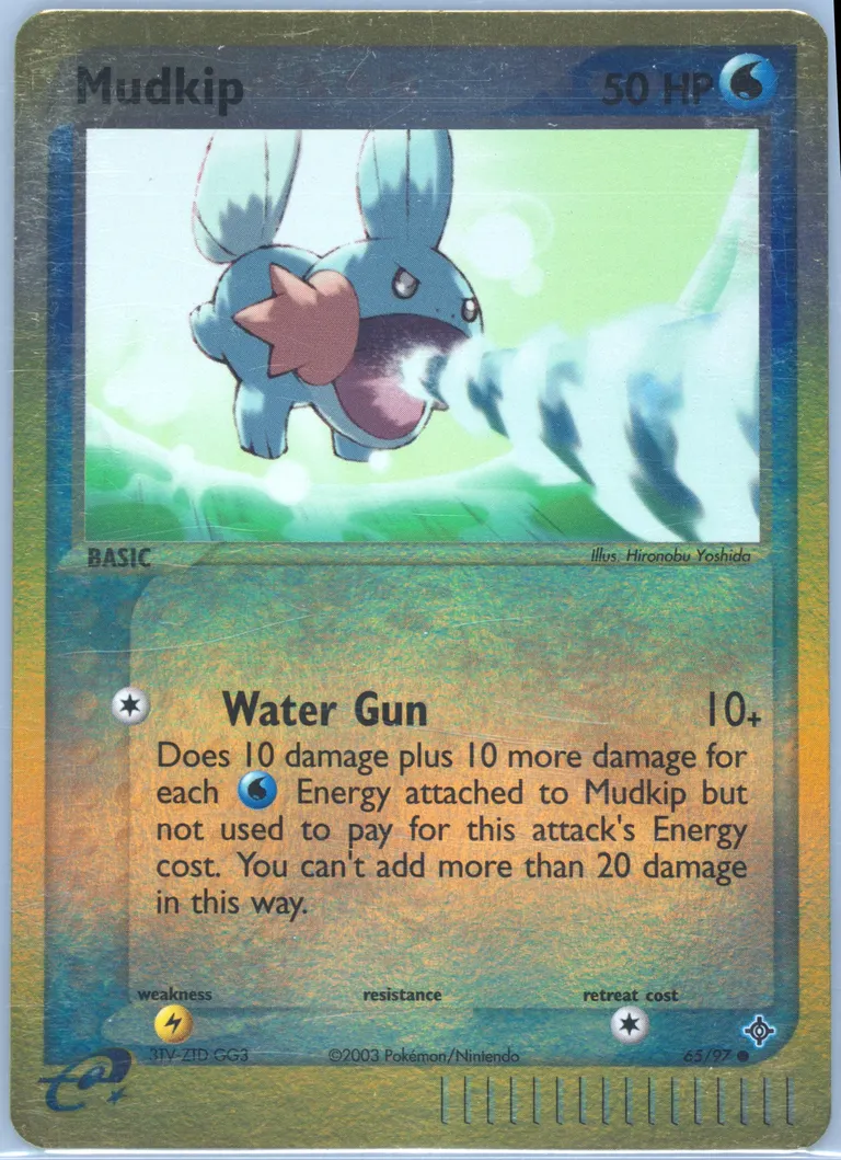 Mudkip card photo