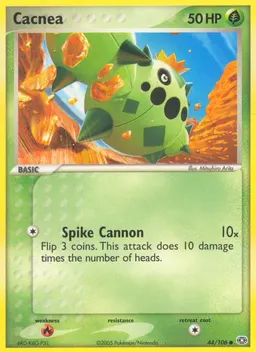 Cacnea card photo