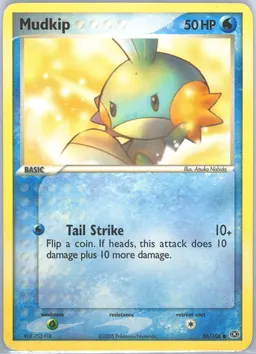 Mudkip #56