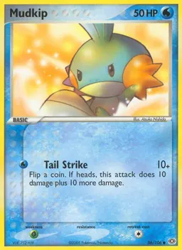 Mudkip card photo