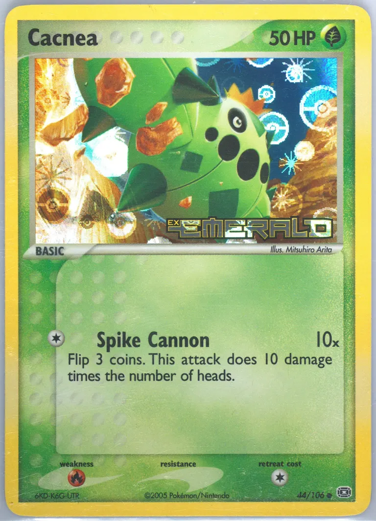 Cacnea card photo