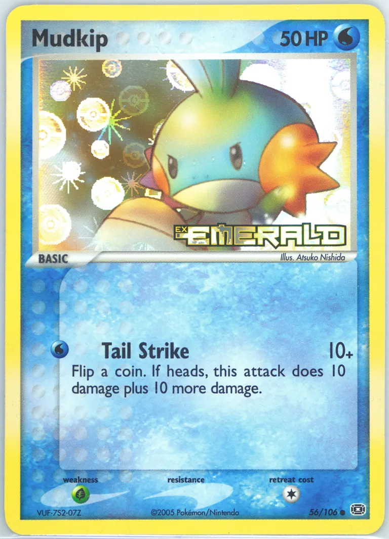 Mudkip card photo